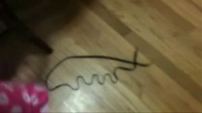 Shoelace Fun