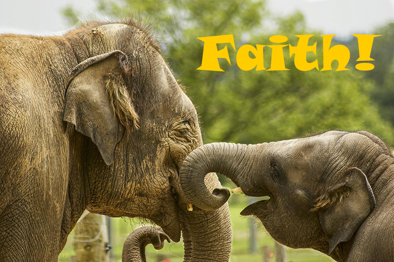 Faith