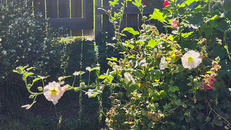 Inspirational Picture