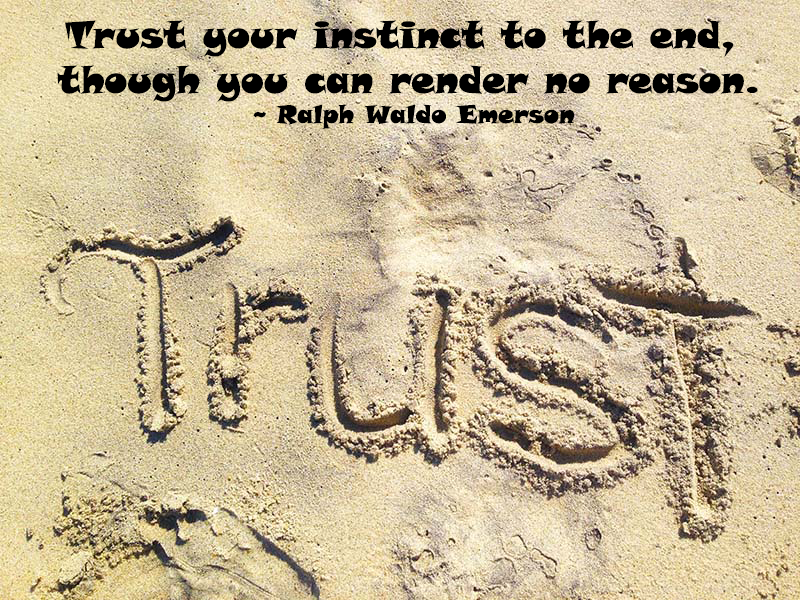 Inspirational Picture and Quote