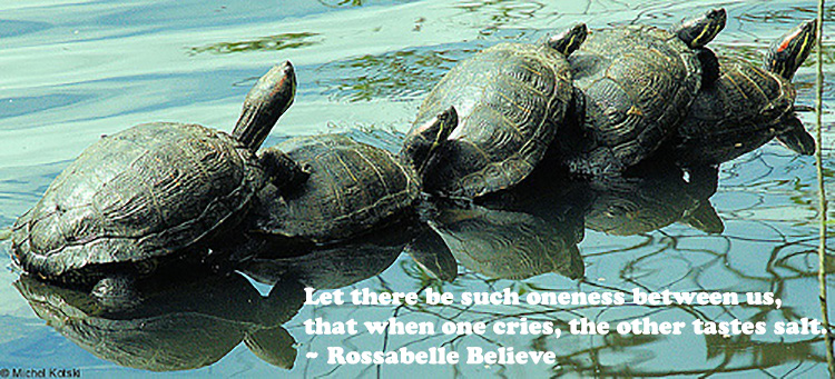 Inspirational Picture and Quote