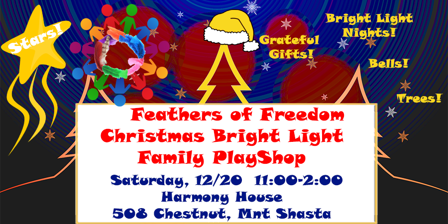 Christmas Light PlayShop