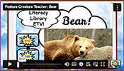 FCT Bear