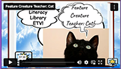 FCT Cat