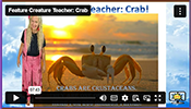 FCT Crab