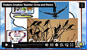 FCT Crow and Raven