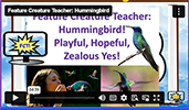 FCT Hummingbird