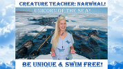 FCT Narwhal