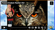 FCT Owl