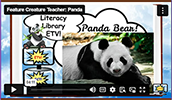FCT Panda Bear