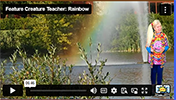 FCT Rainbow