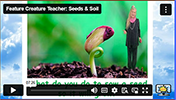 FCT Seeds and Soil