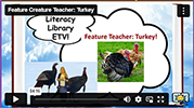 FCT Turkey